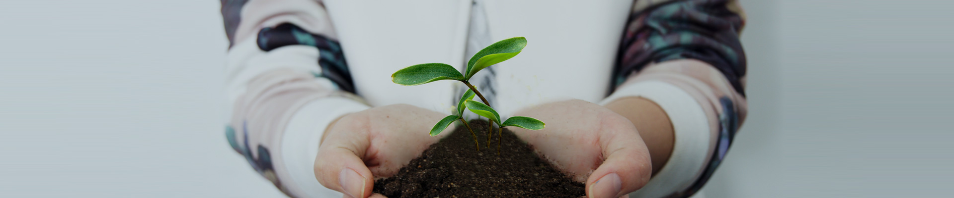 关于DT电子官网
