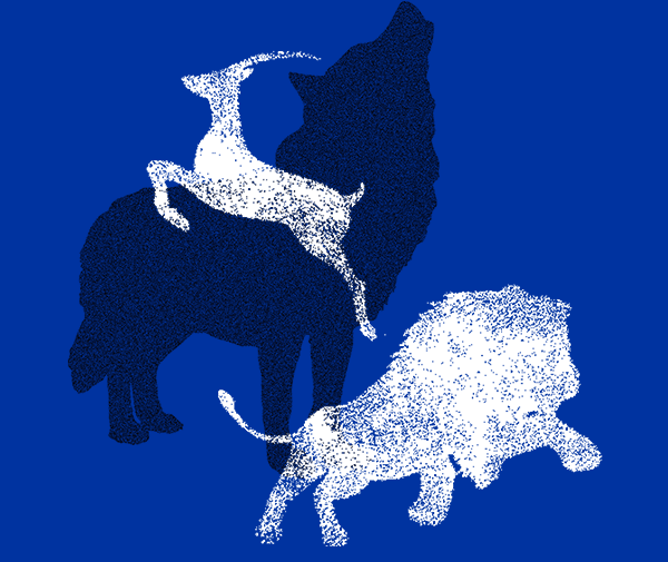 DT电子(中国)集团官网