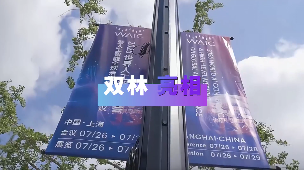 DT电子官网亮相2025世界人为智能大会